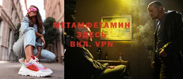 прущие грибы Вяземский