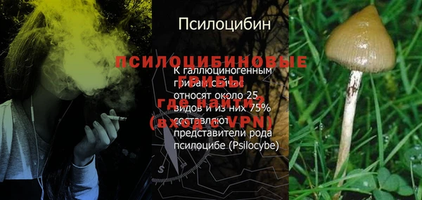 кокаин премиум Волосово