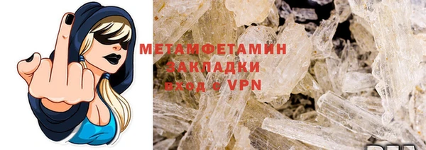 прущие грибы Вяземский