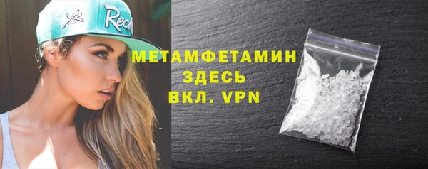 прущие грибы Вяземский