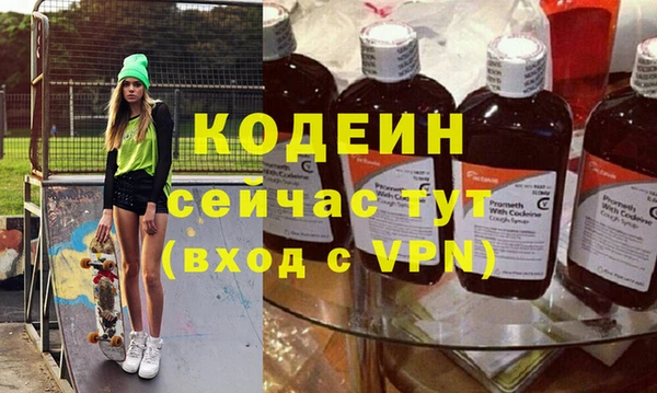 прущие грибы Вяземский