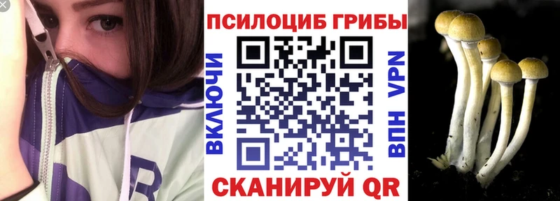 Псилоцибиновые грибы GOLDEN TEACHER  Жуковка 